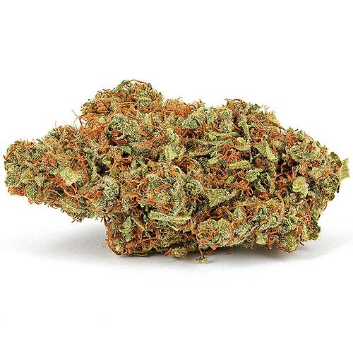 God’s Gift (THC: 27%)