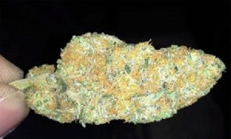 $100 OG (Hybrid )