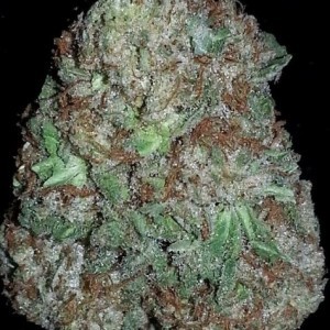 AK-48