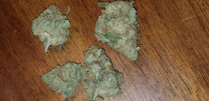 Blue Dream Strain (THC 24%)