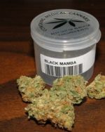 Black Mamba