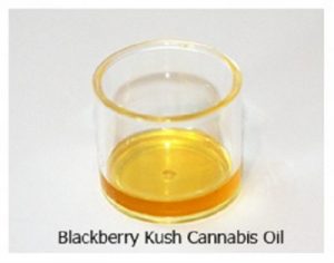 Blackberry Kush Cannabis Oil