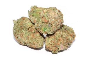 blue dream Strain
