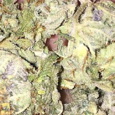 Cali Kush
