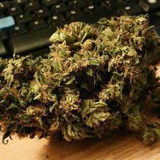 Electric Kush