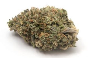 Gelato #32