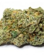 Gelato #47 Kush