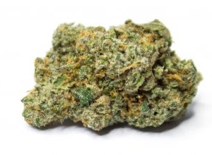 Gelato #47 Kush