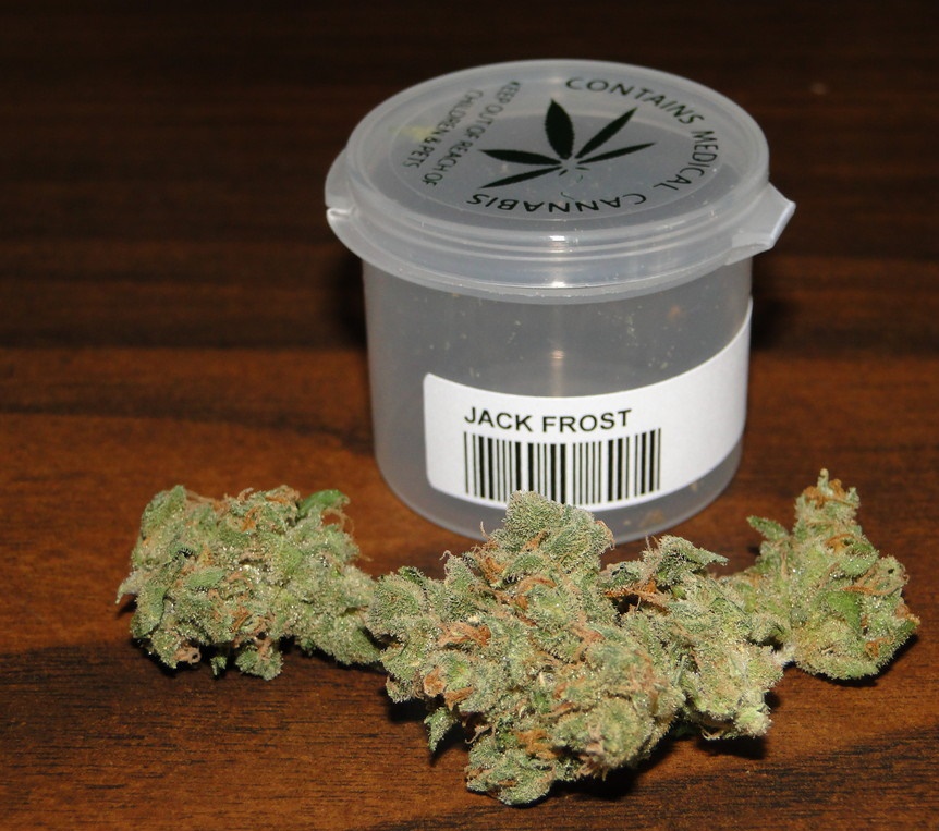 Jack Frost Strain