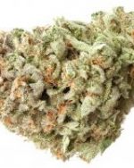 Kandy Kush (THC: 21%)