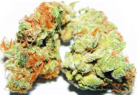 Lemon Sour Diesel Kush