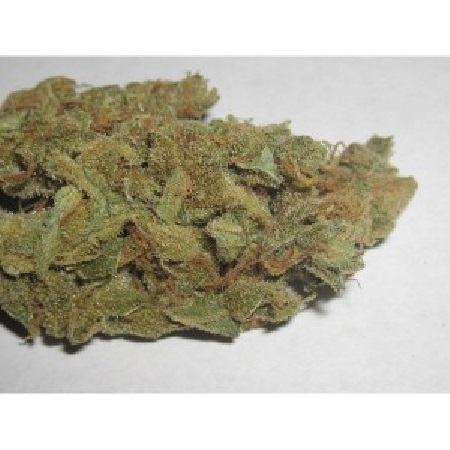 Liberty Haze