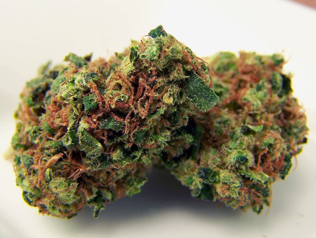 NYC Diesel Strain(THC: 21%)