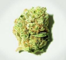OG Kush