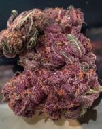 Purple Kush