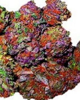 Rainbow Kush(THC: 22%,)