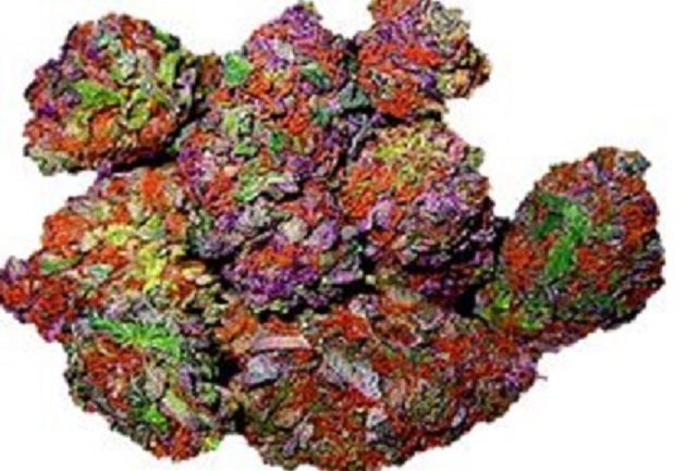 Rainbow Kush(THC: 22%,)