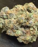Skunk Korean Strain