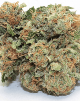 Trump OG