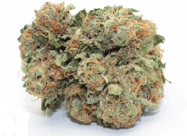 Trump OG