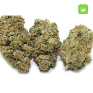 White OG Strain