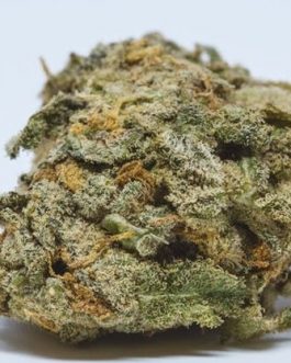 White Widow
