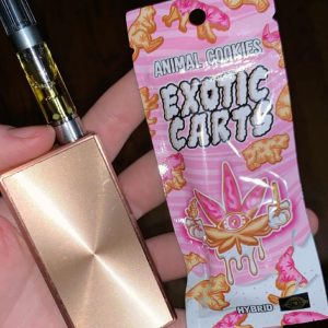 Exotic carts - Image 3
