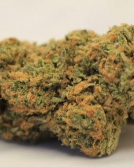 Northern Lights