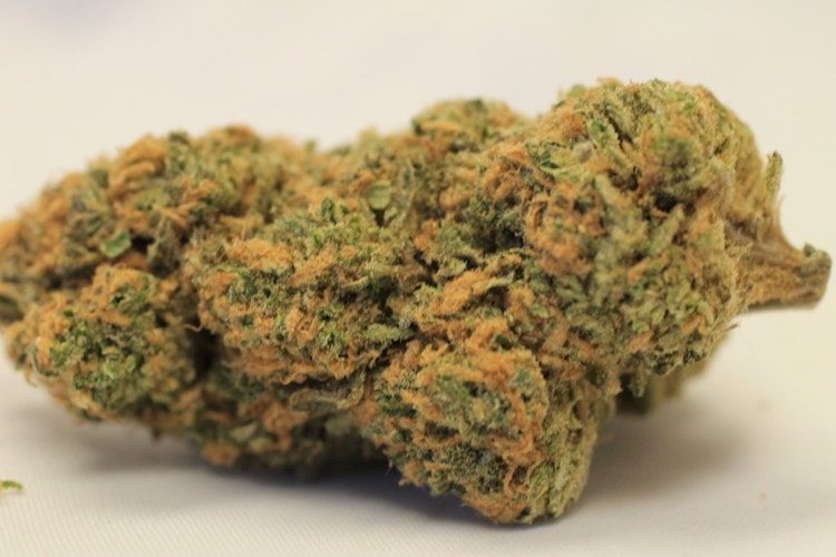 Northern Lights