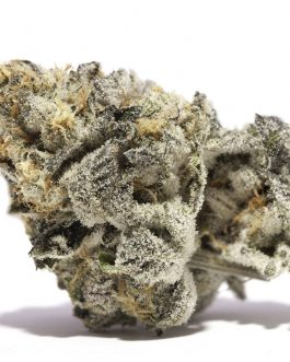 Girls Scout cookies