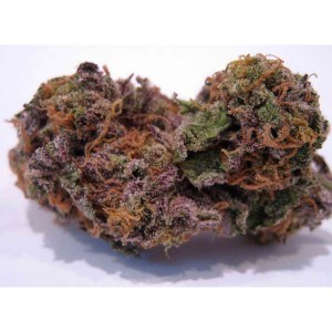 Grand Daddy Purple (THC: 27%)