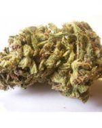 Jack Herer