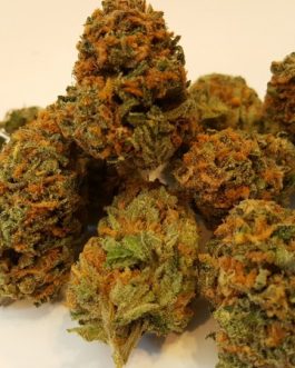 Jedi Kush (THC: 25%)