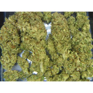 Kosher Kush (Reserva Privada)