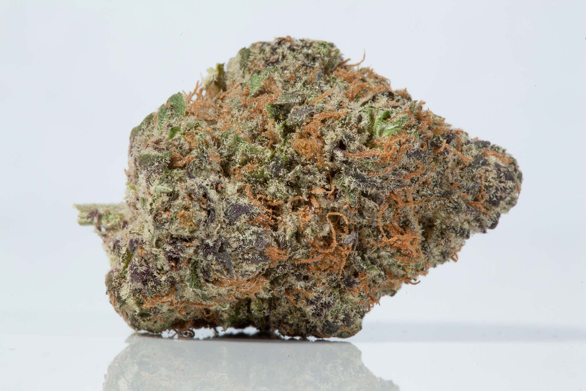 lavender kush (THC: 20%)