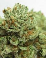 Master kush