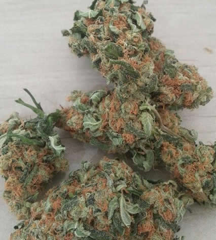 Orange Kush (THC: 31%) - Image 2