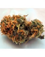 Querkle Kush (THC 28%)