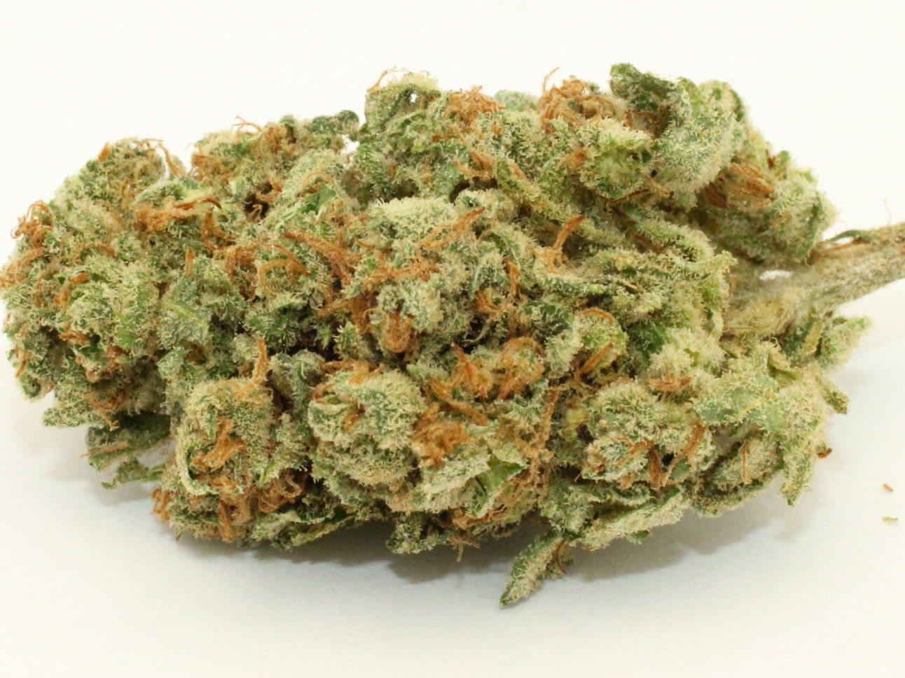 Sour Diesel (THC: 26%)