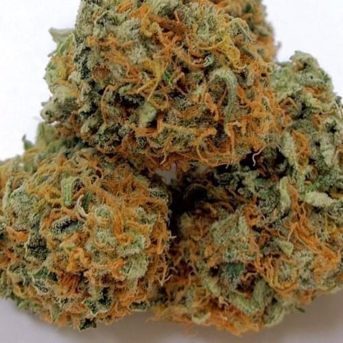 Strawberry Diesel (THC: 24%)