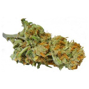 Super Lemon Haze (THC: 25%)