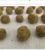 14g Moon Rocks (Dipped in oil) £392