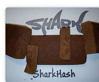20g Shark Hash = 100$