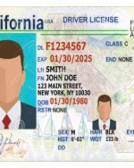 USA Driver License - 30 Sets - both sides