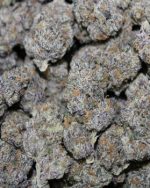 Exotic Grade Indoor - 1oz+