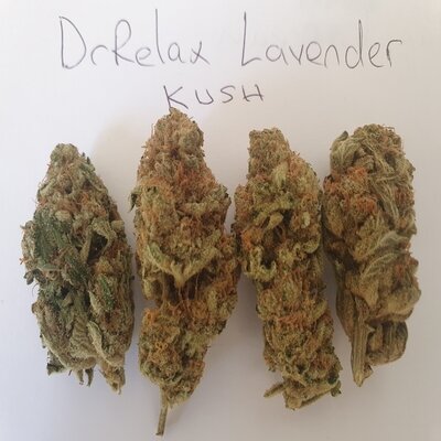 Lavender aka Lavender Kush 1 gram Special Offer