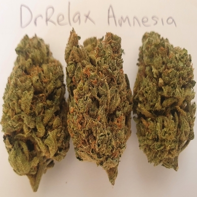 Amnesia marijuana Sativa 3.5 gram