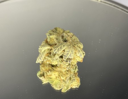 14G L.S.D A+++ TOP PRICES IN UK!!! NDD-FREE POSTAGE