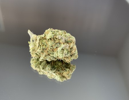 14G RUNTZ MUFFIN (HYBRID COOKIES ZKITTLEZ AND GELATO)