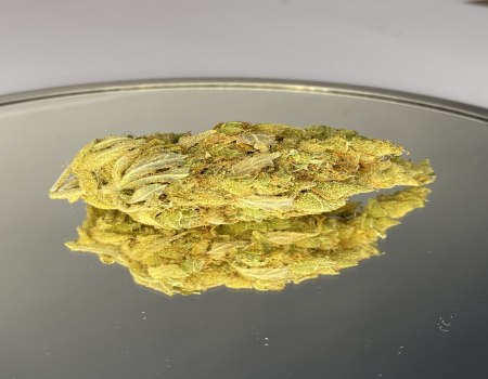 7G AMNESIA HAZE AAA+++ NDD FREE POSTAGE
